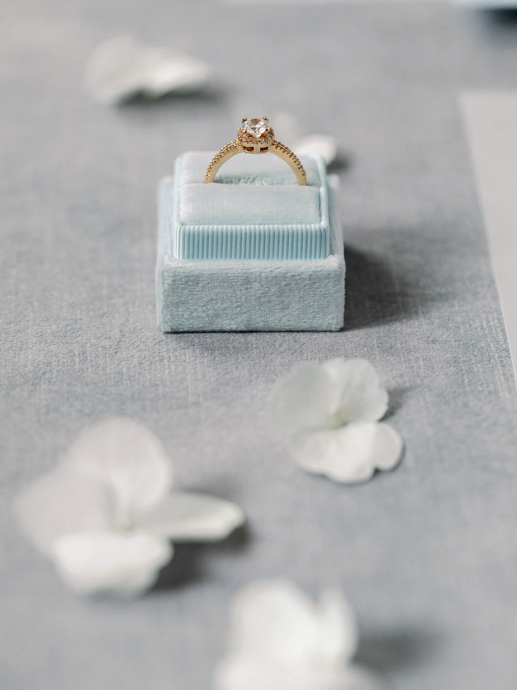 Hochzeitspapeterie: Ringbox in hellblau mit Verlobungsring Eheringe mit weißen Hortenien